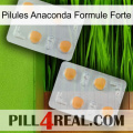 Anaconda Strong Formula Pills 25